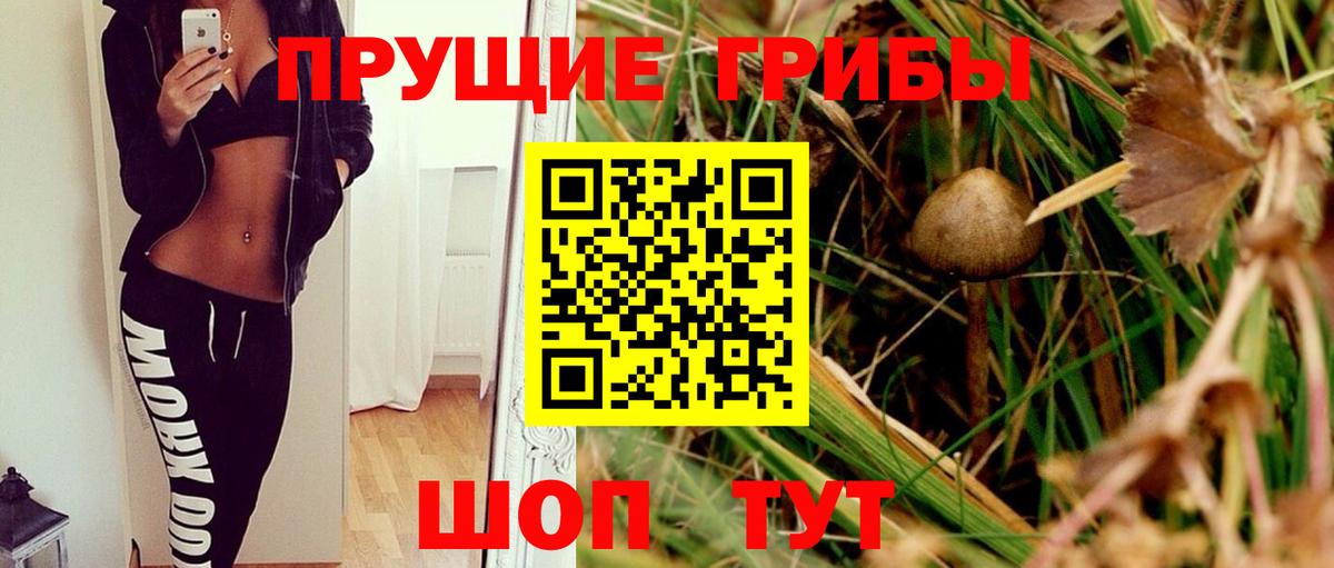 Ижевск  Галлюциногенные грибы ЛСД  Вход с VPN 