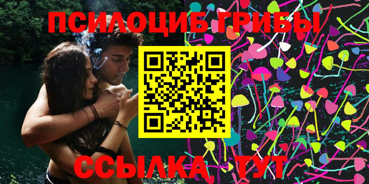 Псилоцибиновые грибы Psilocybe Ижевск